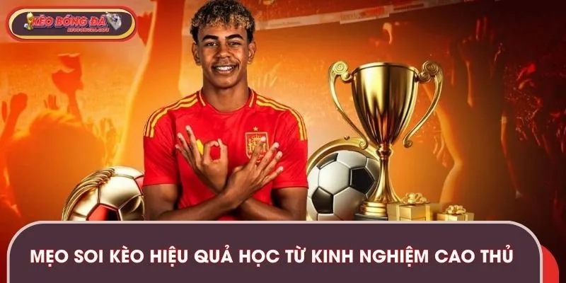 Mẹo soi kèo hiệu quả học từ kinh nghiệm cao thủ 